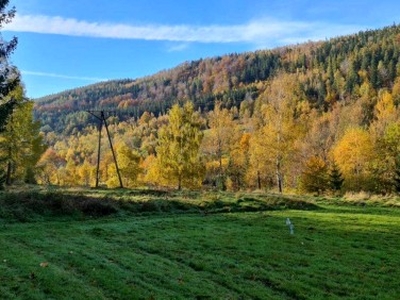 Działka budowlana Świeradów-Zdrój