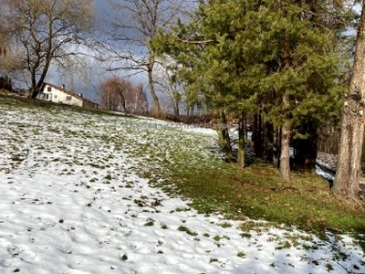 Działka budowlana Wysoka