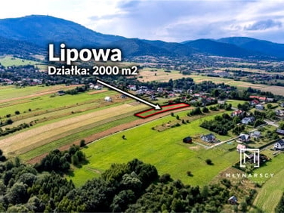 Działka Lipowa