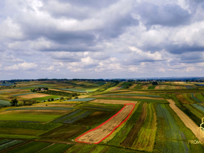 Działka rolna Czulice