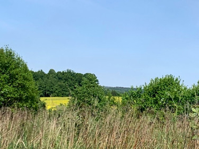 Działka rolna Radostów Dolny