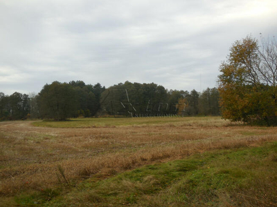 Działka rolna Ziąbki gm. Bolimów,