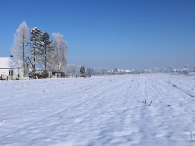 Działka rolno-budowlana Cichawa