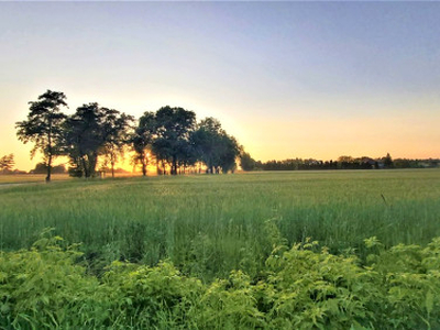 Działka rolno-budowlana Zagrody Łukowieckie