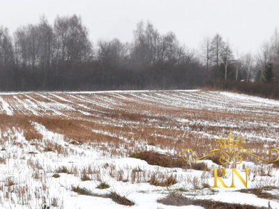 Działka siedliskowa Motycz