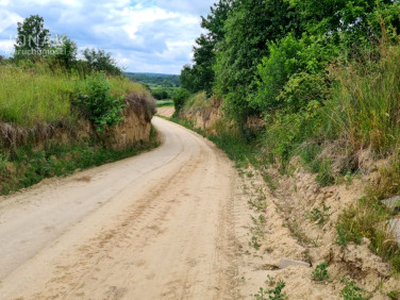 Działka siedliskowa Zabytów