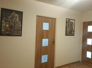 Duży pokój do wynajęcia (20m2) - ul.Mogilska (Tauron, AWF)