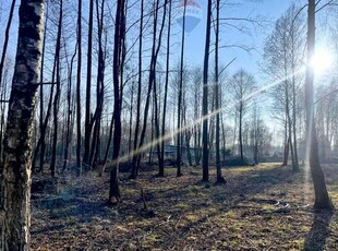 Działka Budowlana 1375 m2 Bieganów gm. Jaktorów