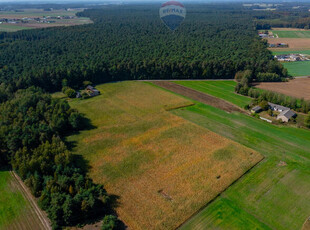 Działka budowlana 1566 m² w atrakcyjnej cenie