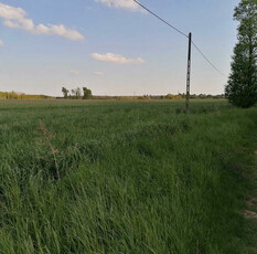 działka budowlana Zamoście gm. Strzelce Wlk. pow. Pajęczańsk