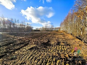 Działka pod zabudowę w spokojnej okolicy, Rozgity