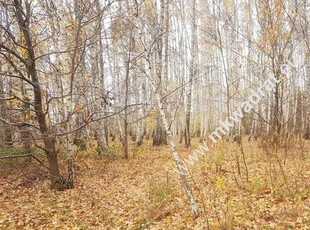 działka siedliskowa z wydanymi WZ na dom + bud.gar