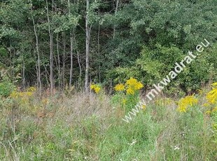 Działka z planem zagospodarowania terenu