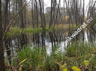 Malownicza działka siedliskowa 13.700m2