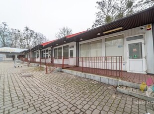 Mrągowo, lokal na wynajem, parter, 60 m2