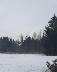 Nadarzyn duża działka 1MN w dobrej lokalizacji