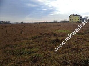 Podział 4 działek 8264m² Tłumy gm Kowiesy MPZP 3MN