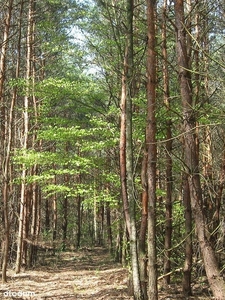 Działka budowlana Wólka, ul. Kryształowa 384