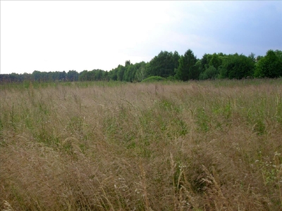 Działka na sprzedaż, Poznański, Swarzędz gm, Kobylnica