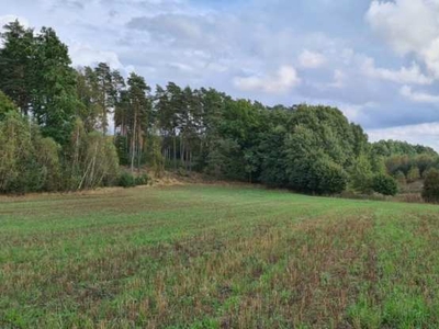 Działki, Stary Wiec