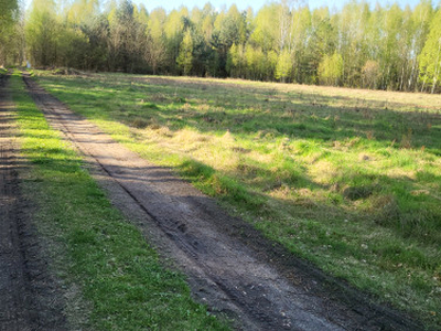 Działka siedliskowa, ul. Krajobrazowa