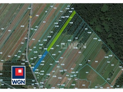 Grunt leśny na sprzedaż Myszków - Na sprzedaż łąka z dostępem do drogi i lasu 1,4ha Myszków, Będusz.