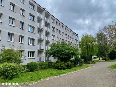 Przestronny, b. zadbany 3 pok apartament w Rynku.