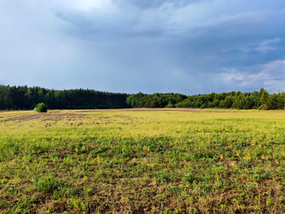 Działka budowlana Antoninów