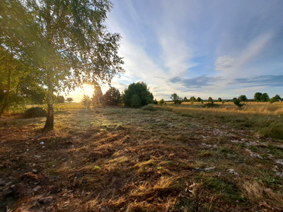 Działka budowlana Polinów