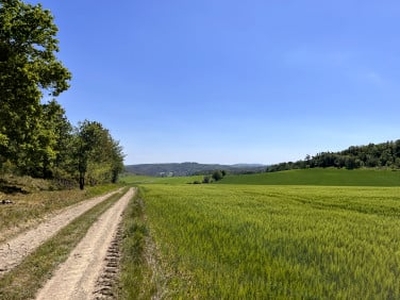 Działka rolna Pogorzała