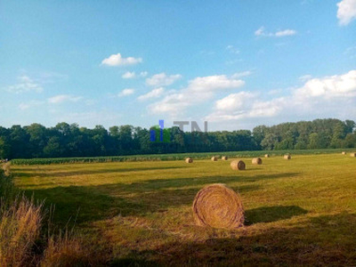 Działka rolna Sadowice