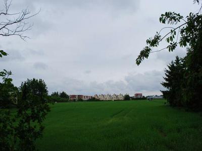 Działka 4868 m² - Baranowo, gm. Tarnowo Podgórne