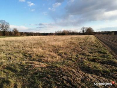 Działka do zabudowy (budowlana) na warunkach zabudowy