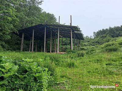 Działka z halą pod hodowlę zwierząt