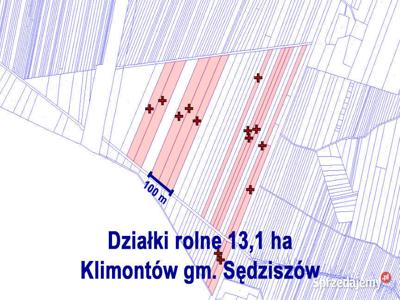 Działki rolne 13,1 ha Klimontów gm. Sędziszów