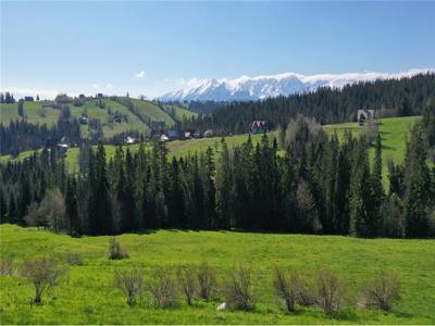 Działka Sprzedaż Leśnica, Polska