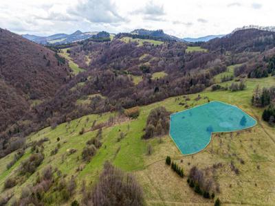 Działka Sprzedaż Szczawnica, Polska