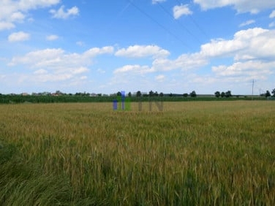 Działka budowlana Chrząstawa Wielka