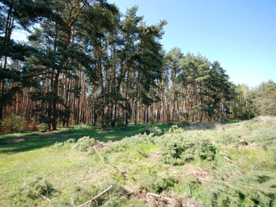 Działka budowlana Grodzanów