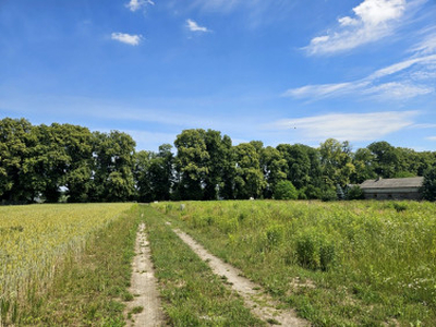 Działka budowlana Nasutów