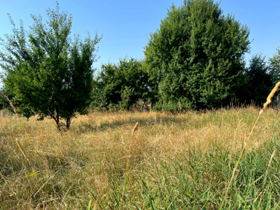 Działka budowlana, ul. Henrykowska