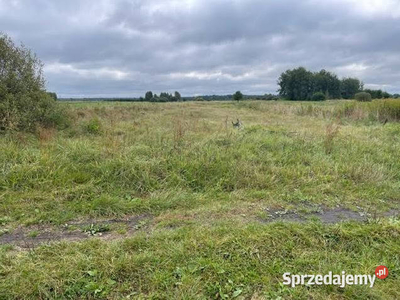 Działka rolna o powierzchni 6000 m2.