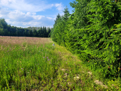 Działka rolna, ul. Jasna