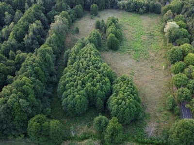 Działka rolna, ul. Stepnicka