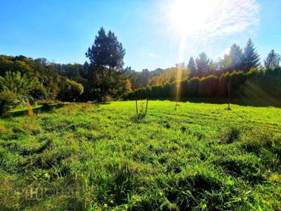 Działka rolno-budowlana Chorowice