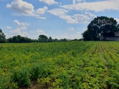 Działka rolno-budowlana Kocmyrzów