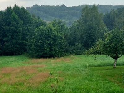 Działka rolno-budowlana Stanisław Dolny