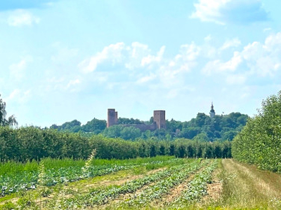 Działka siedliskowa, ul. Mostowa