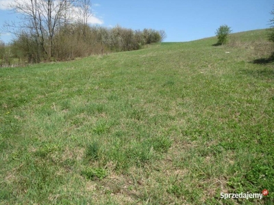 działka budowlano-rolna, 4ha, Gmina Iwanowice, 24 km od Krakowa