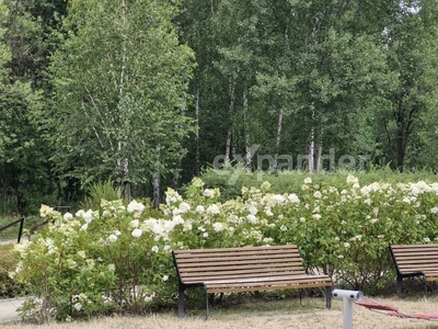 Mieszkanie trzypokojowe na sprzedaż